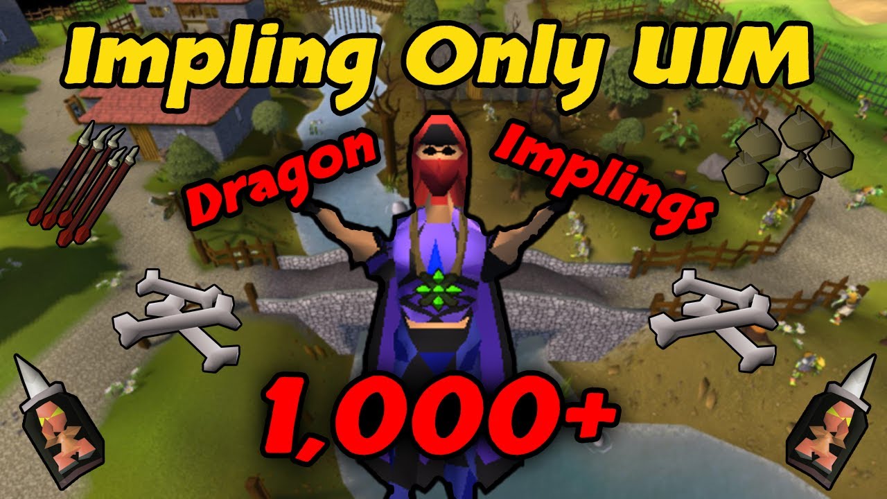 I Have Caught Over 1,000 Dragon Implings - Impling Only UIM (#34)