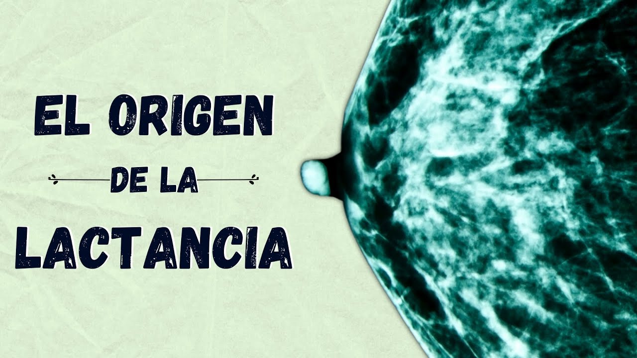 🕵️‍♂️ EL ORIGEN DE LA LACTANCIA MATERNA 🤱