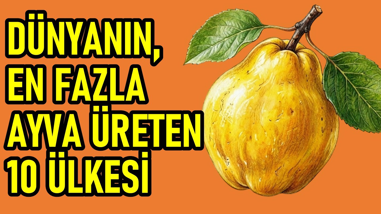 Dünyanın, En Fazla Ayva Üreten 10 Ülkesi! Türkiye Kaçıncı Sırada?