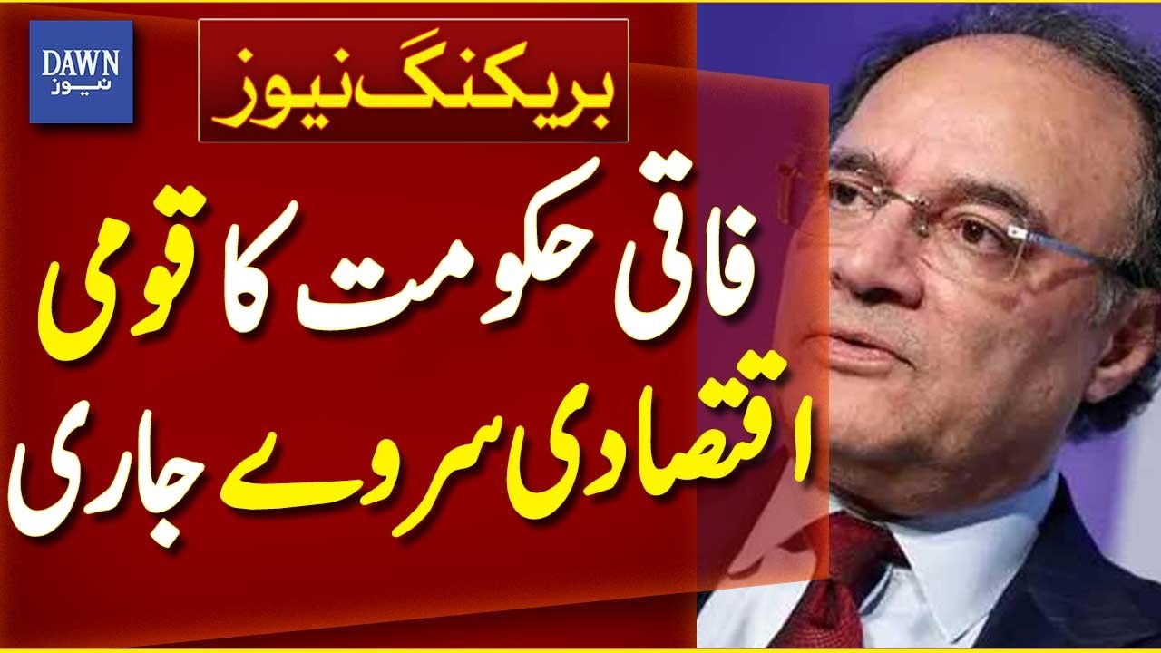 Pakistan Economic Survey 2025-26 Released | Breaking News | Dawn News