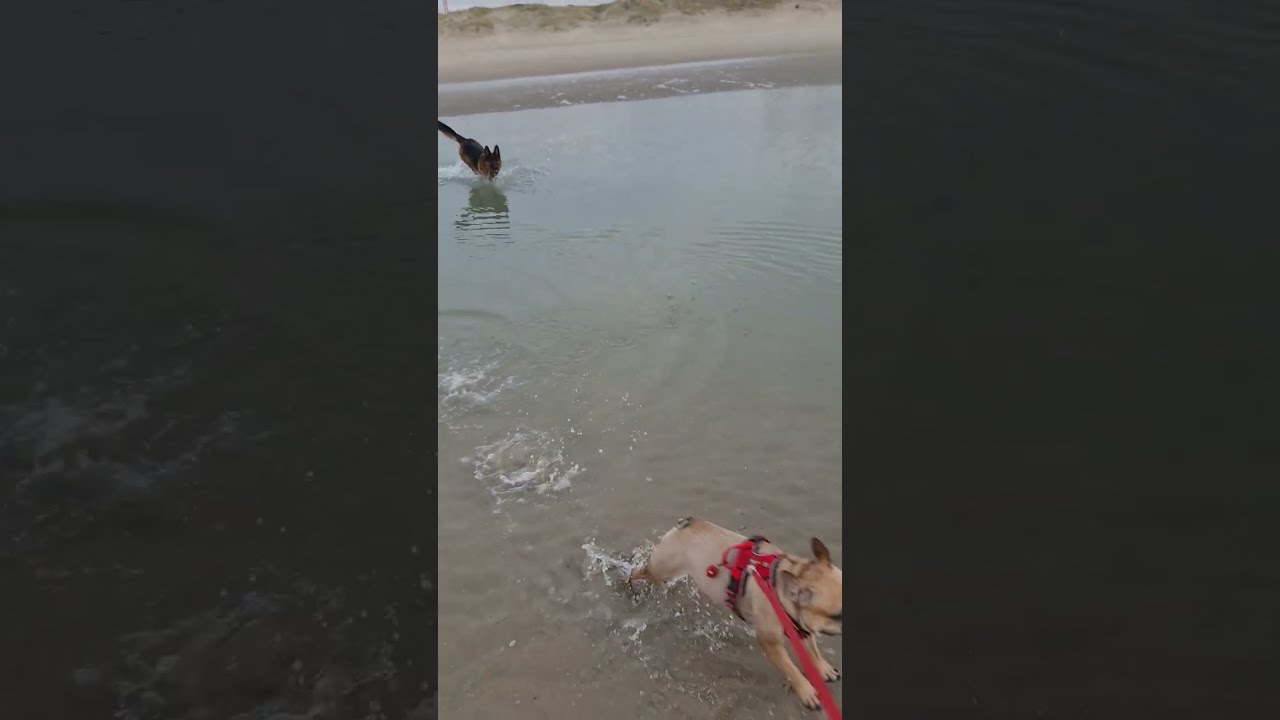 Cold Day On the Beach 