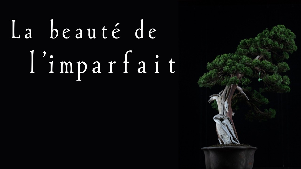 Trouver la paix intérieure : La sagesse du Wabi-Sabi pour simplifier sa vie
