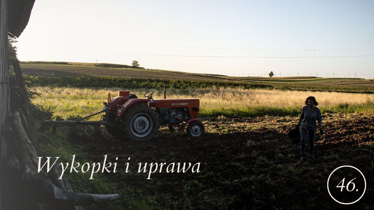 Wykopki i uprawa 2023