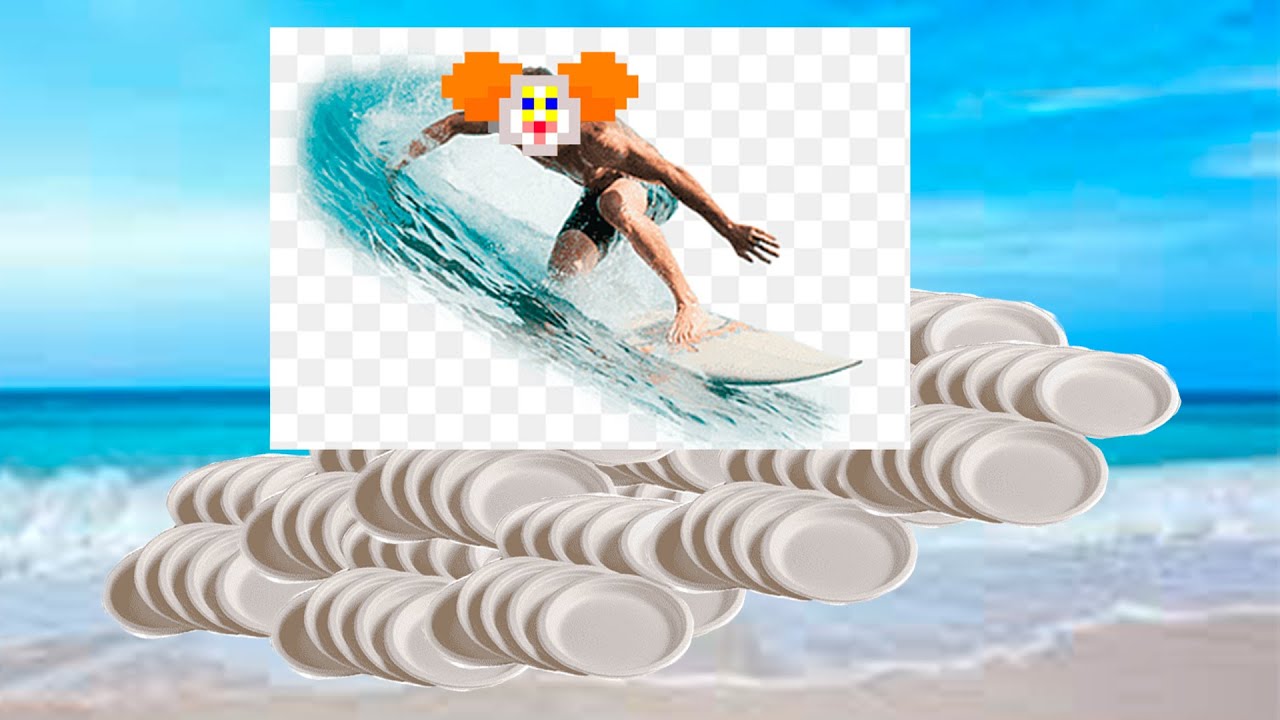 300 plastic plates incident [SS14]