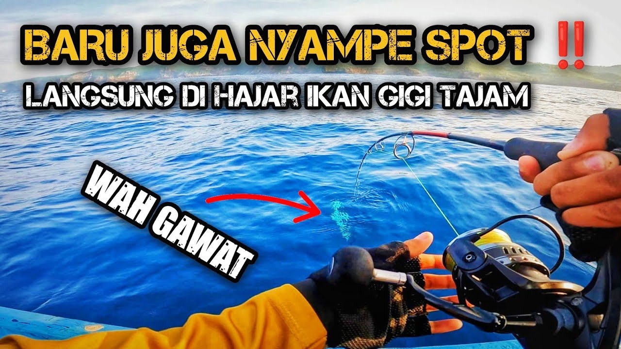 GAWAT‼️BARU SAMPE SPOT PANTAI KESIRAT LANGSUNG DIHAJAR IKAN GIGI TAJAM ‼️
