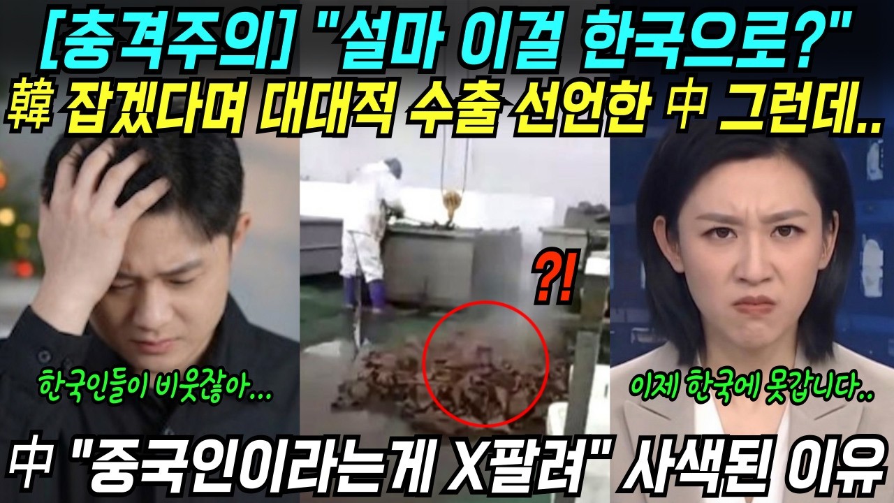 🔥중국반응🔥 &rdquo;한국인들이 우릴 어떻게 볼지 참담한 마음..&ldquo; 14억 인민들 사색이 된 이유