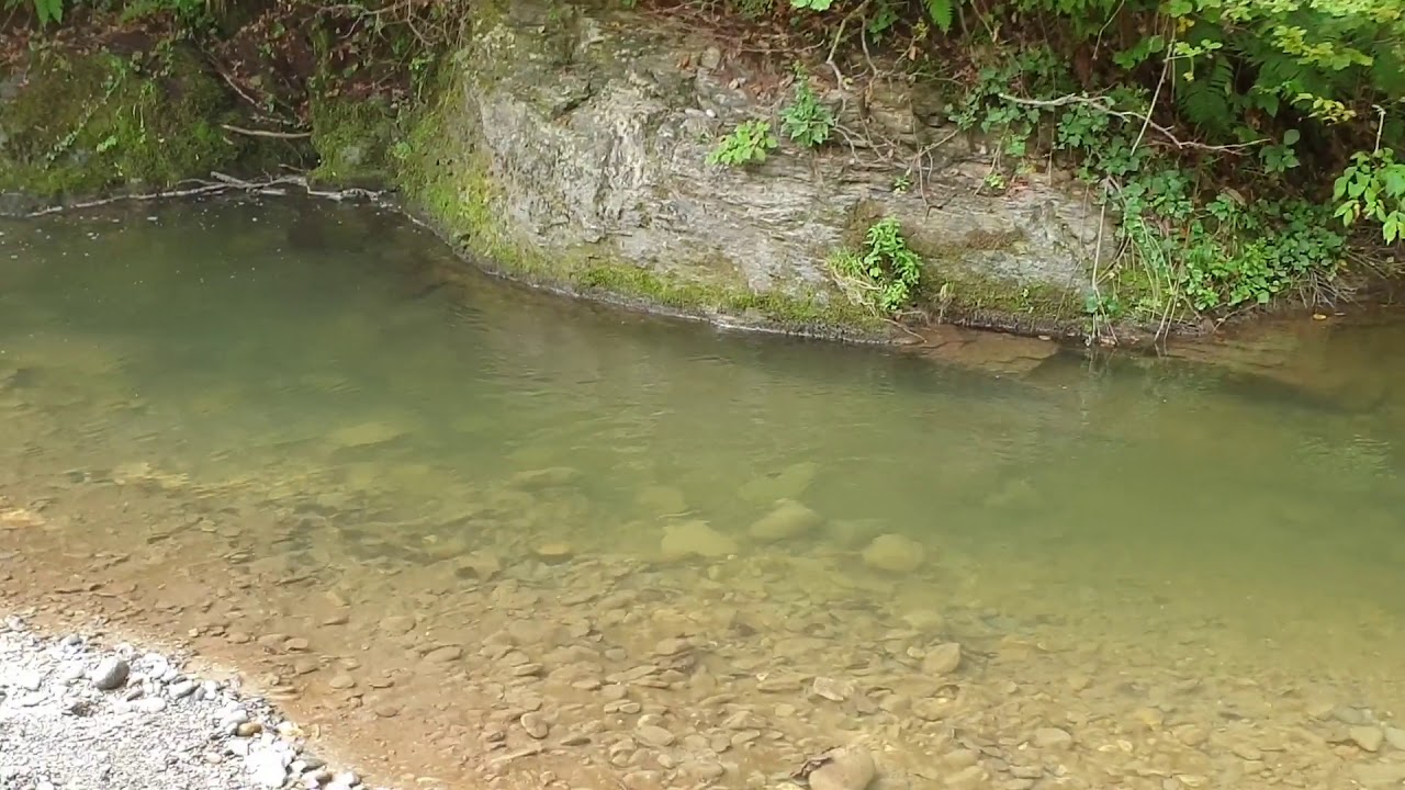 Rijeka Kru&scaron;čica i pritoke - poribljavanje mlađ potočne pastrmke 4