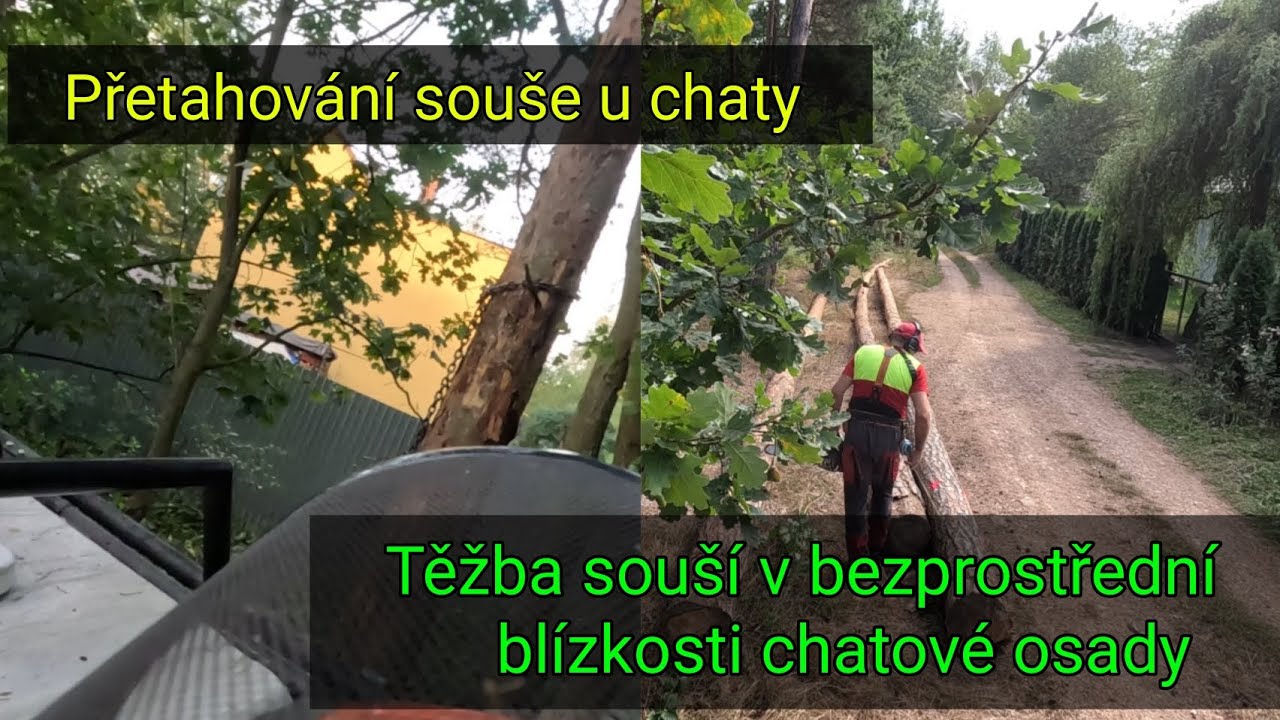 Těžba suchých borovic hned vedle chat,  Zetor 7245, Agama aga 2, Stihl Ms 362, @jpforest8882