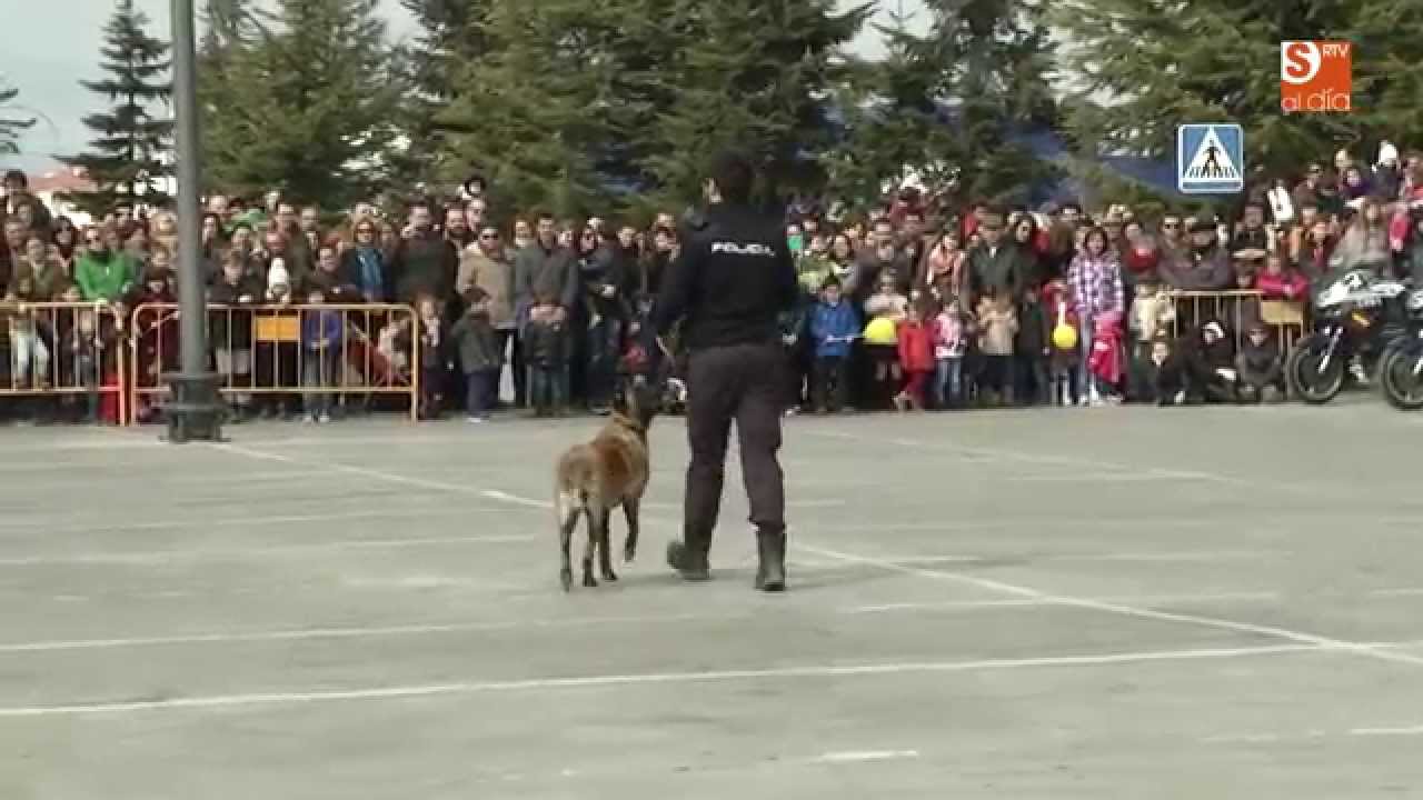 EXHIBICIÓN PERRO POLICIA (SALAMANCA)