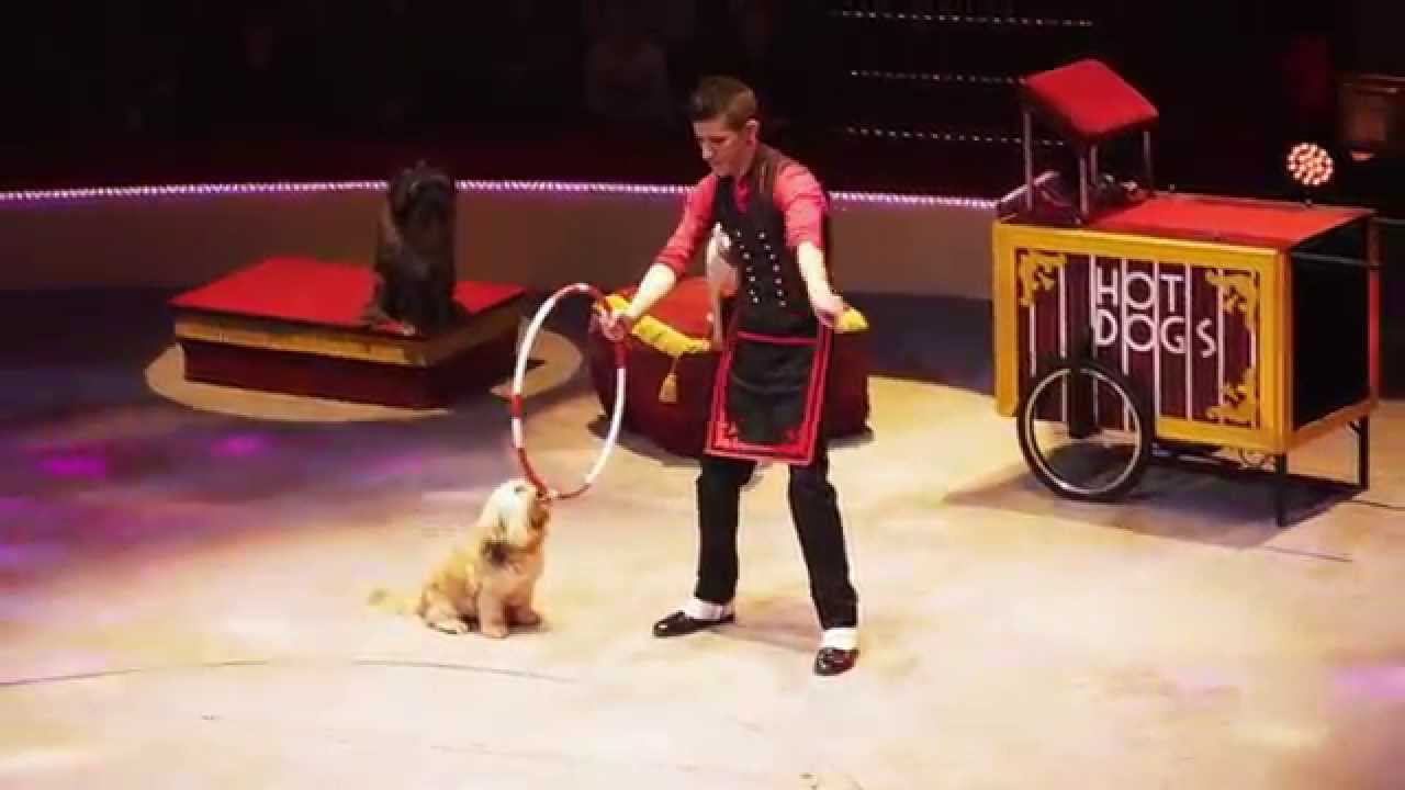 Pat Clarrison's Hotdogs filmed at Cirque D' Hiver Bouglione Paris.