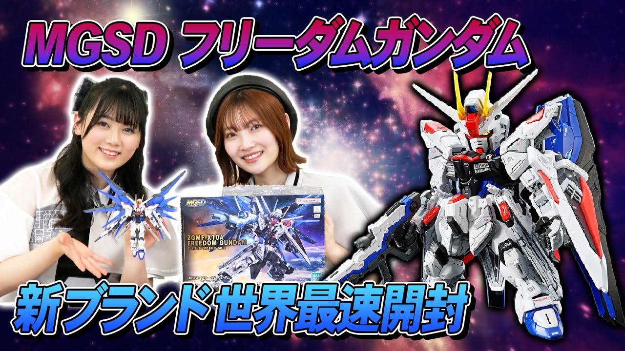 【MGSD】MGSD フリーダムガンダムを世界最速開封！✨【リンプラ】