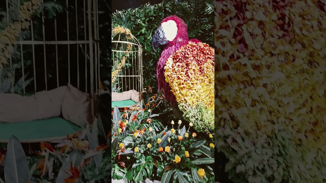 🇵🇱 World Flower Show -Światowa Wystawa Roślin. Katowice #birds #flowers #travel #love #art #Katowice