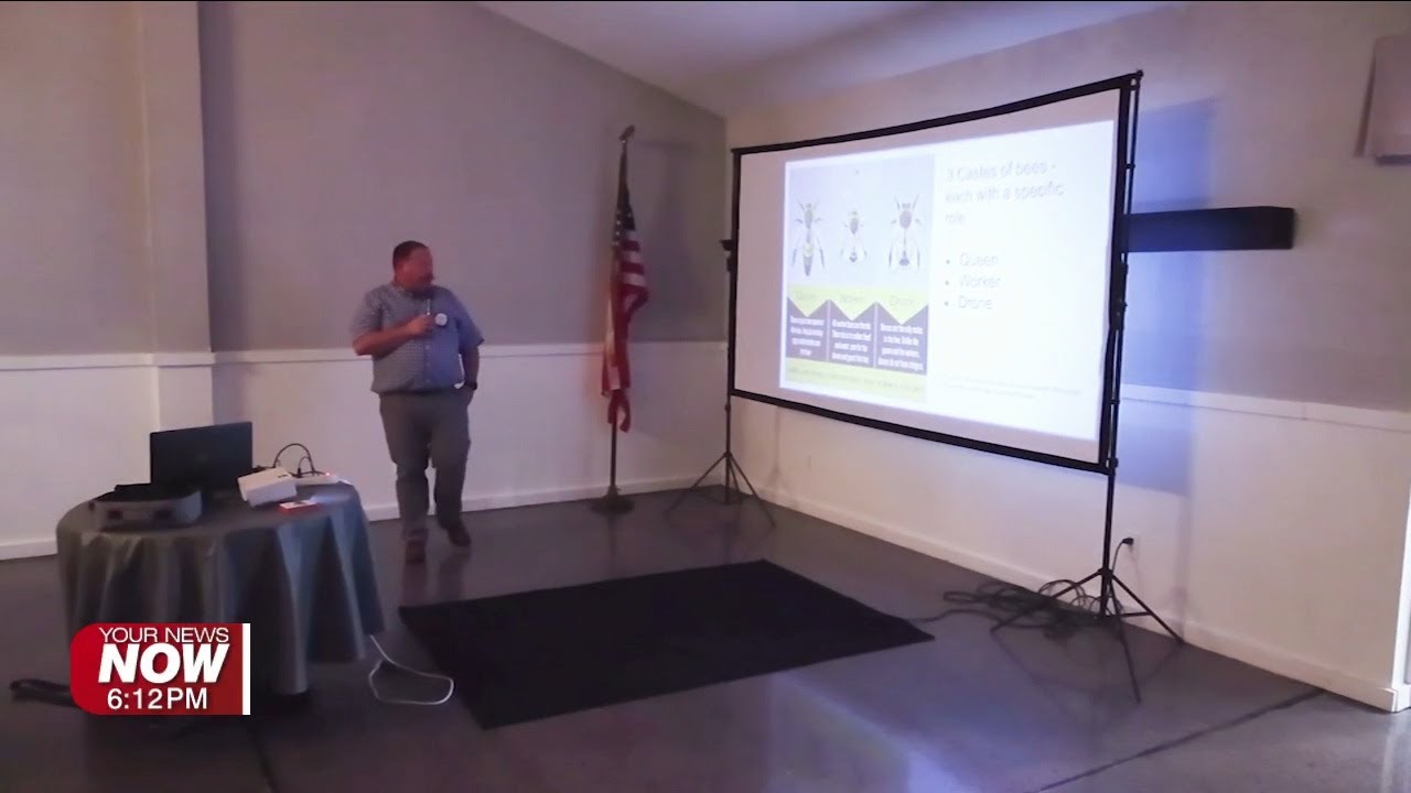 Local beekeepers say honey bee population stable in West Central Ohio