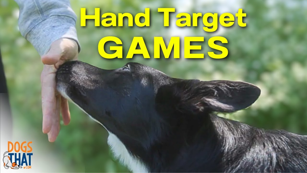 Susan Garrett’s Hand Target: Dog Training Games Within Games