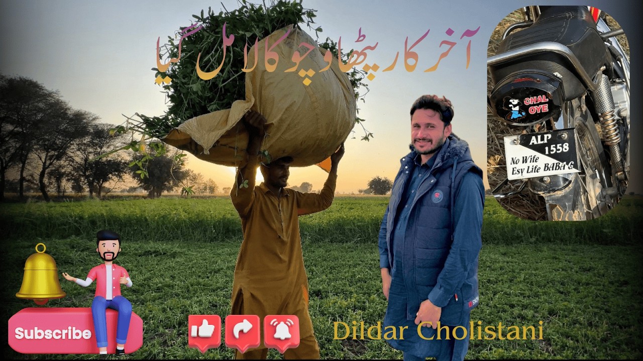 kally Di Shari | Pure Village Life – Dildar Cholistani Vlogs