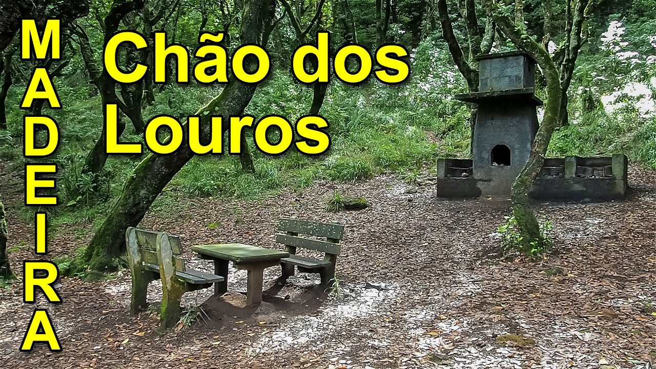 Madeira, PR 22. Walking Vereda Chao dos Louros. 052.
