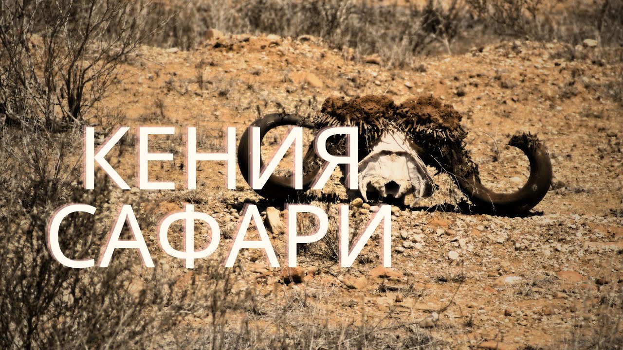 Невероятное африканское путешествие, САФАРИ в КЕНИИ - это лучшее приключение!