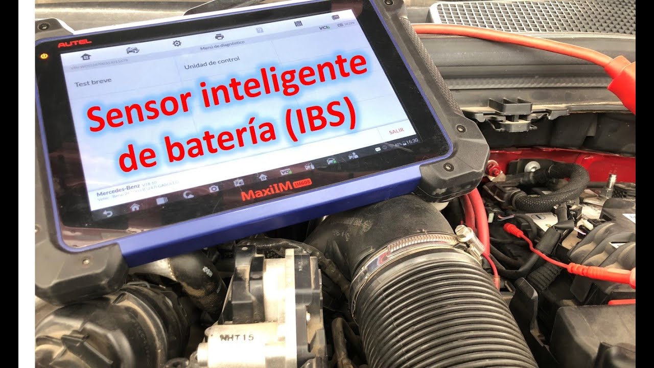Sensor inteligente de la batería (IBS).