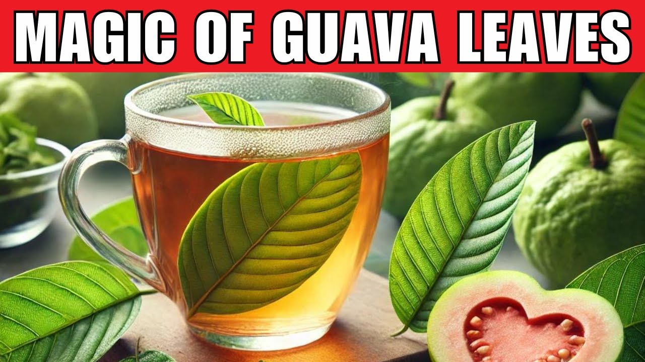 20 удивительных преимуществ гуавы, о которых вы пожалеете, что не узнали их раньше