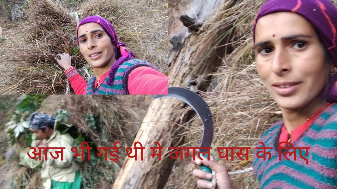 आज काटा मुस्कील से घास