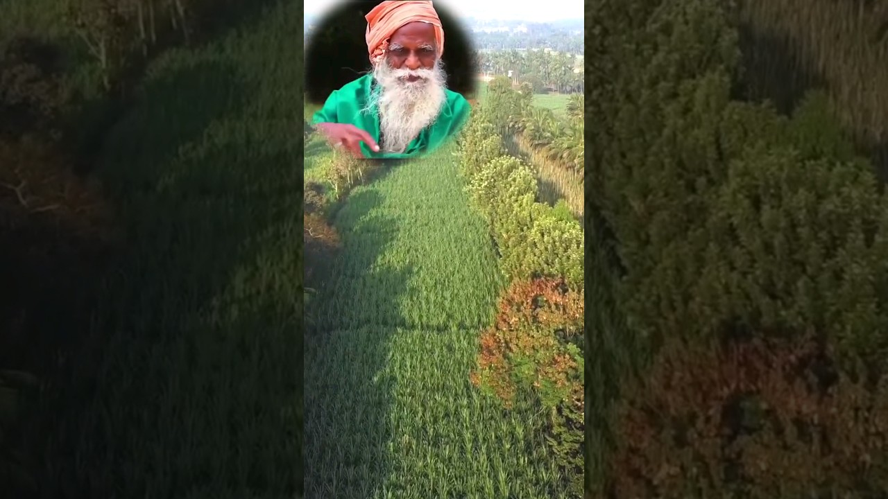 நம்மாழ்வார்-வேலி பயிர்கள்  #nammalvar #fence #tamil #vivasayam #farming