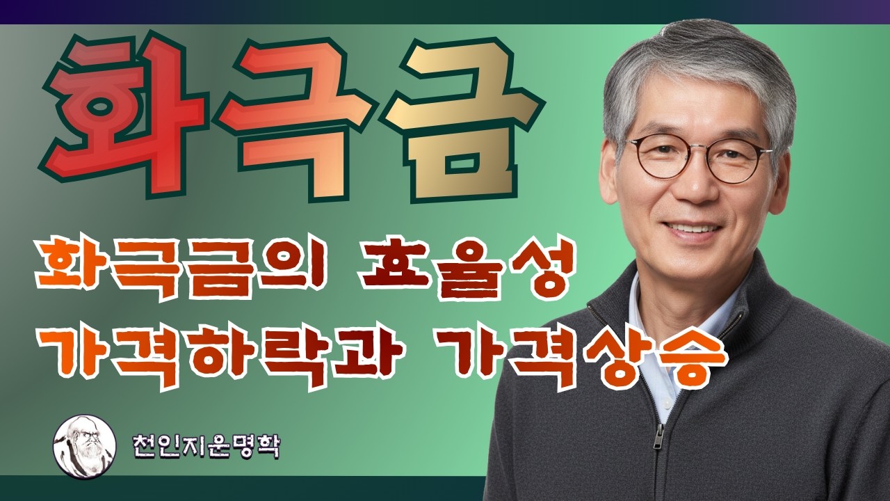 화극금과 효율성/ 가격하락과 상승