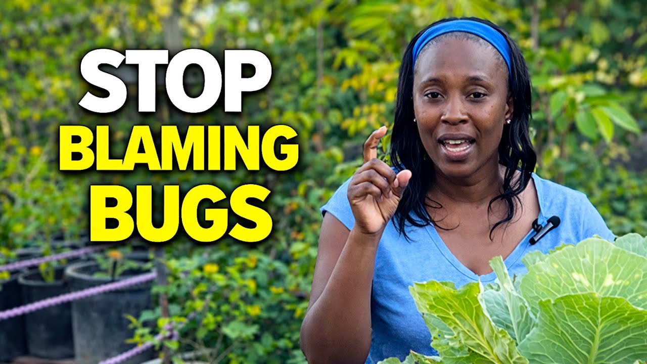 You Don&rsquo;t Have a Pest Problem&hellip; You Have a Weak Plant Problem