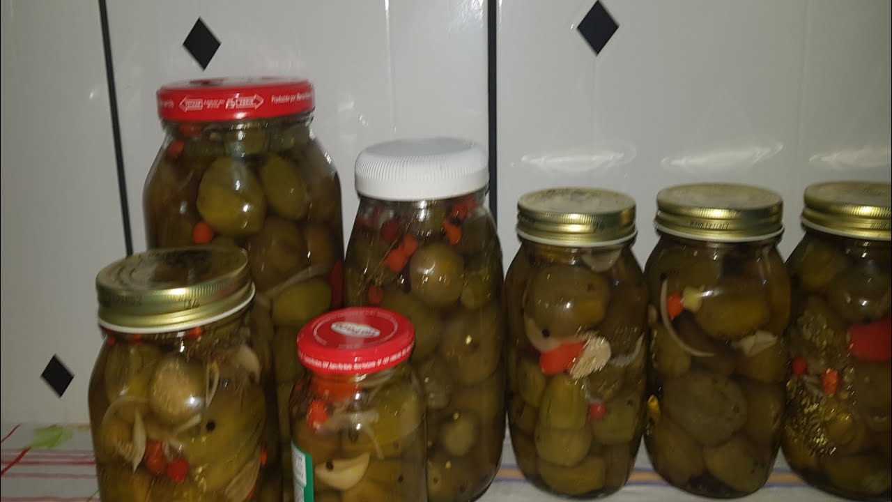 pedrina Ribeiro na roça.  vejam como  eu  faço  a conserva de jiló  e uma  delicia..