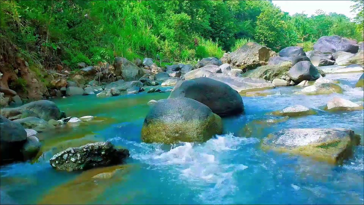 Deep Sleeping Relaxing Music 💧 Calm River Sounds for Deep Rest