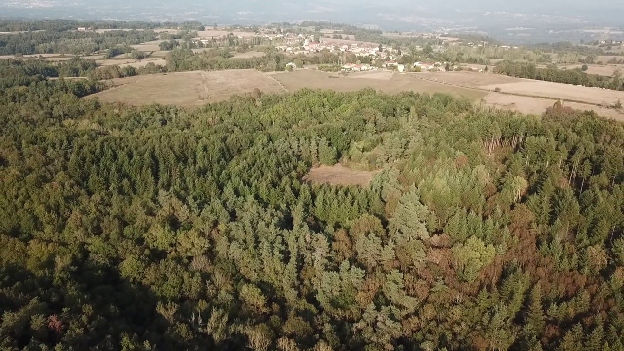Forêt et étang à vendre dans le puy de dôme