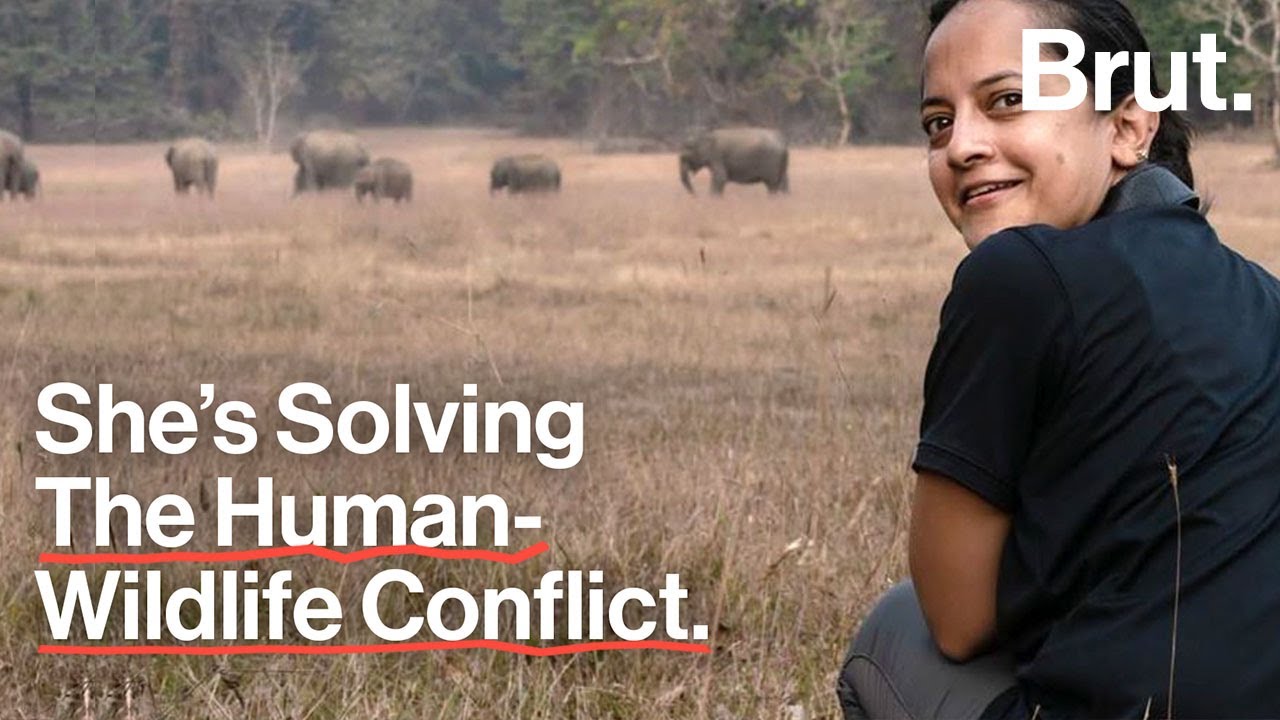 This Scientist Is Solving The Human-Wildlife Conflict | In collaboration with ThumsUp