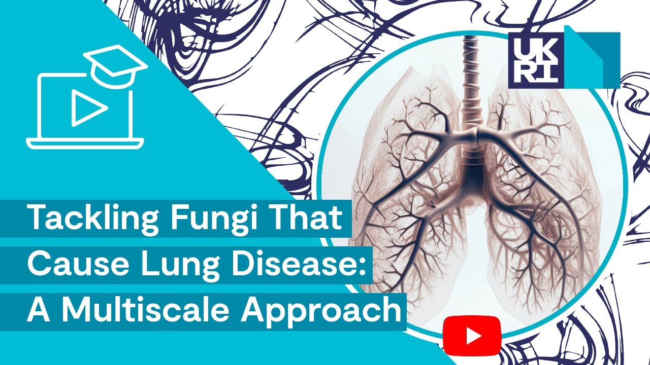 Tackling Fungi That Cause Lung Disease | A Multiscale Approach