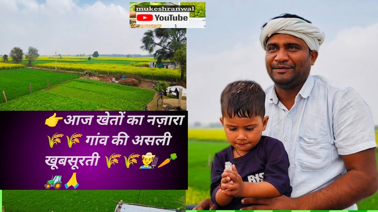 🌾🌾🌾 खेतों का सुंदर नजारा। खेतों में बसी जिंदगी🌾🚜👨‍🌾🌽