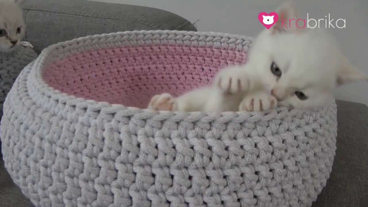 Kocięta z miotu O, film 2