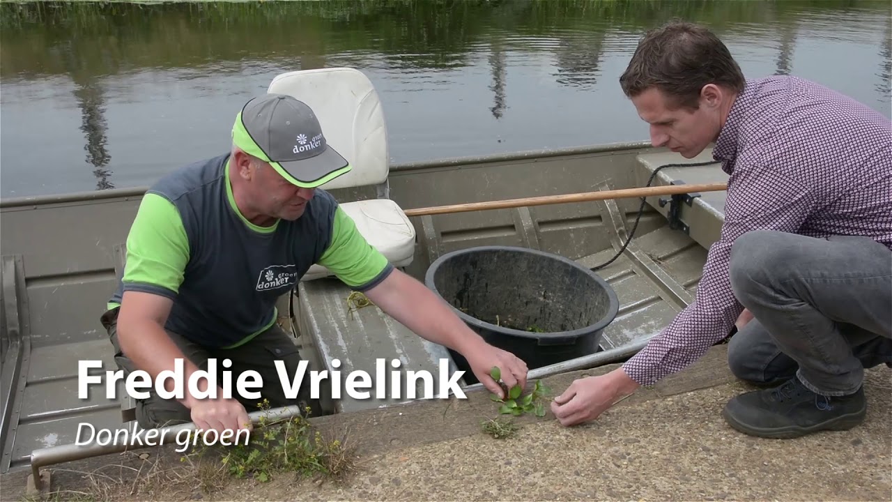 Weg met de waterteunisbloem