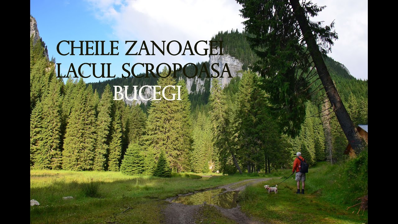 Cheile Zănoagei -Munții Bucegi