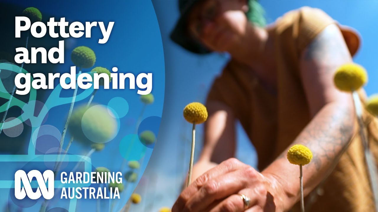 'Every potter that I've met is a gardener' | Inspired by nature | Gardening Australia