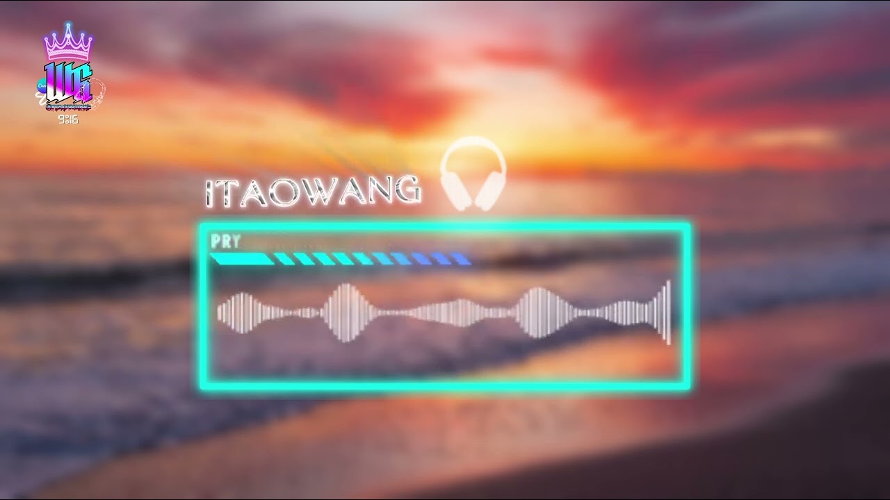 DJ WHERE HAVE YOU BEEN X STEREOLOVE SLOW FULL SONG TIKTOK TER...