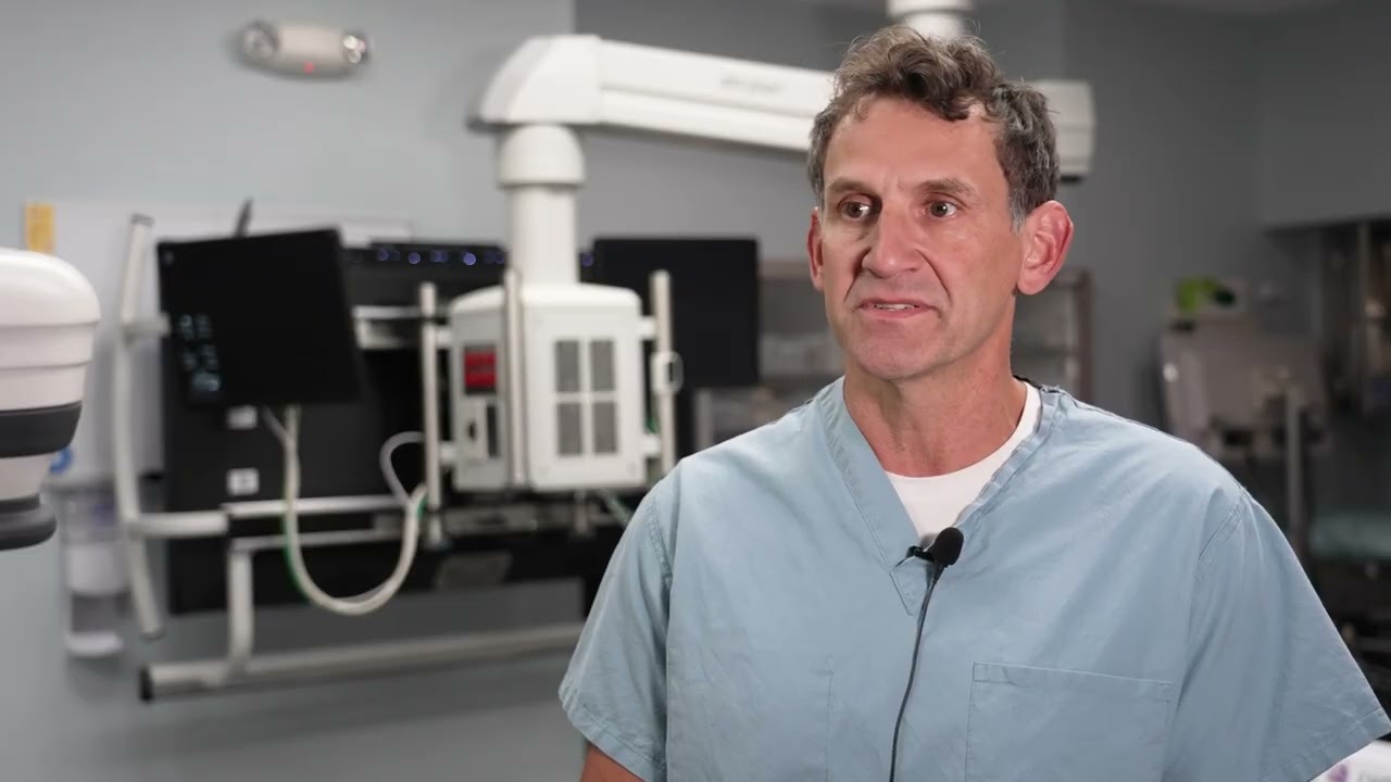 Renal Denervation