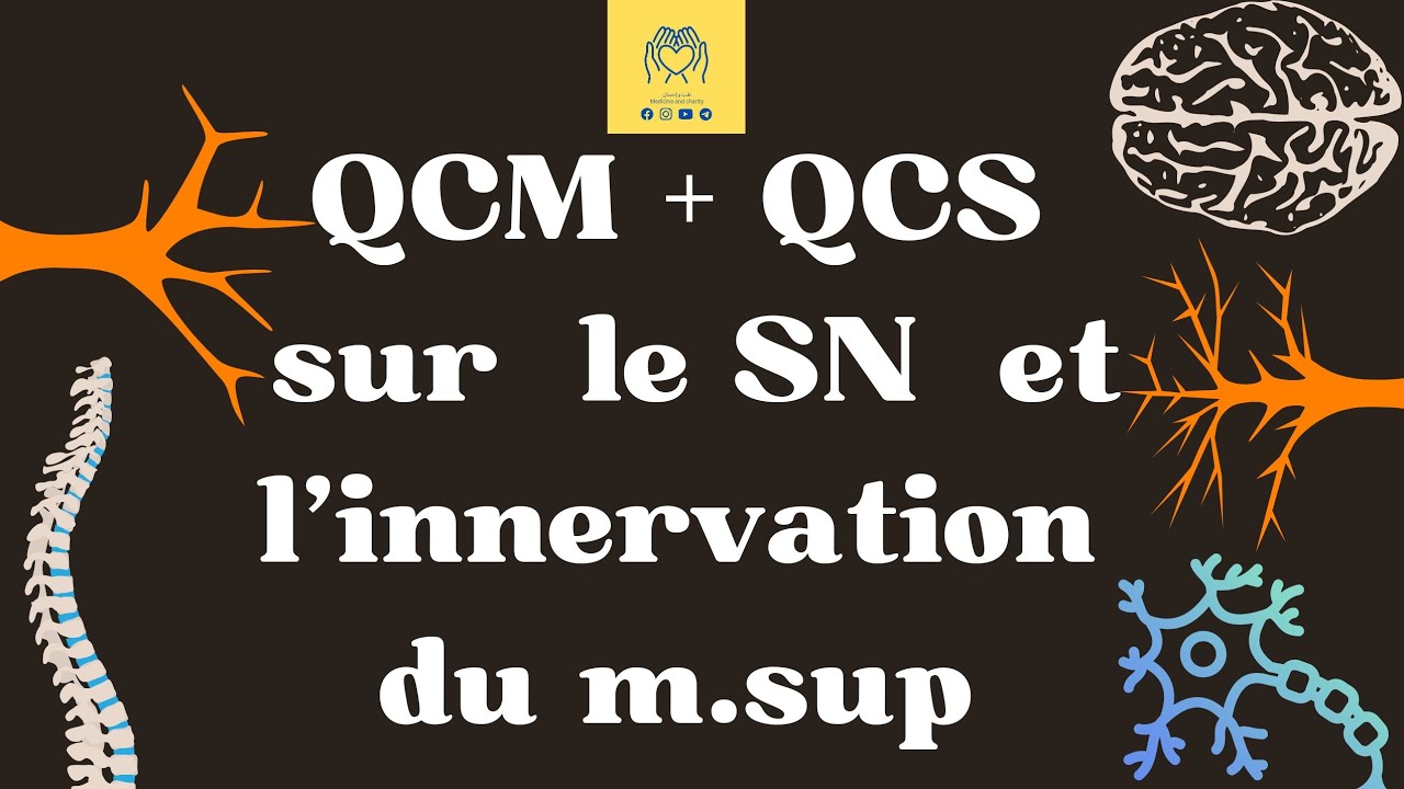 🟨 QCM+QCS sur le SN et l'innervation du membre supérieur 🧠✨مراجعة شاملة و حل أسئلة حول الأعصاب💛⚡
