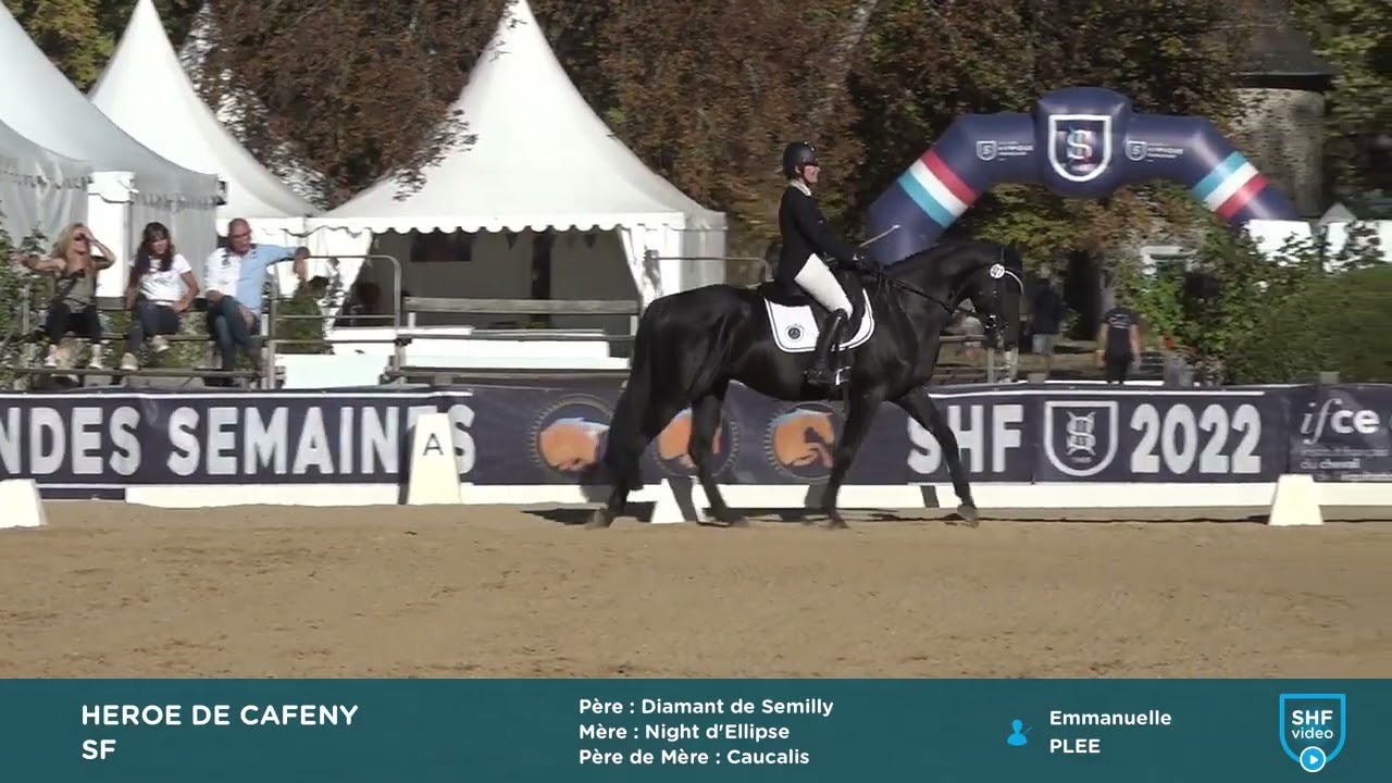HEROE DE CAFENY FINALE CCE 5 ANS 2022 DRESSAGE