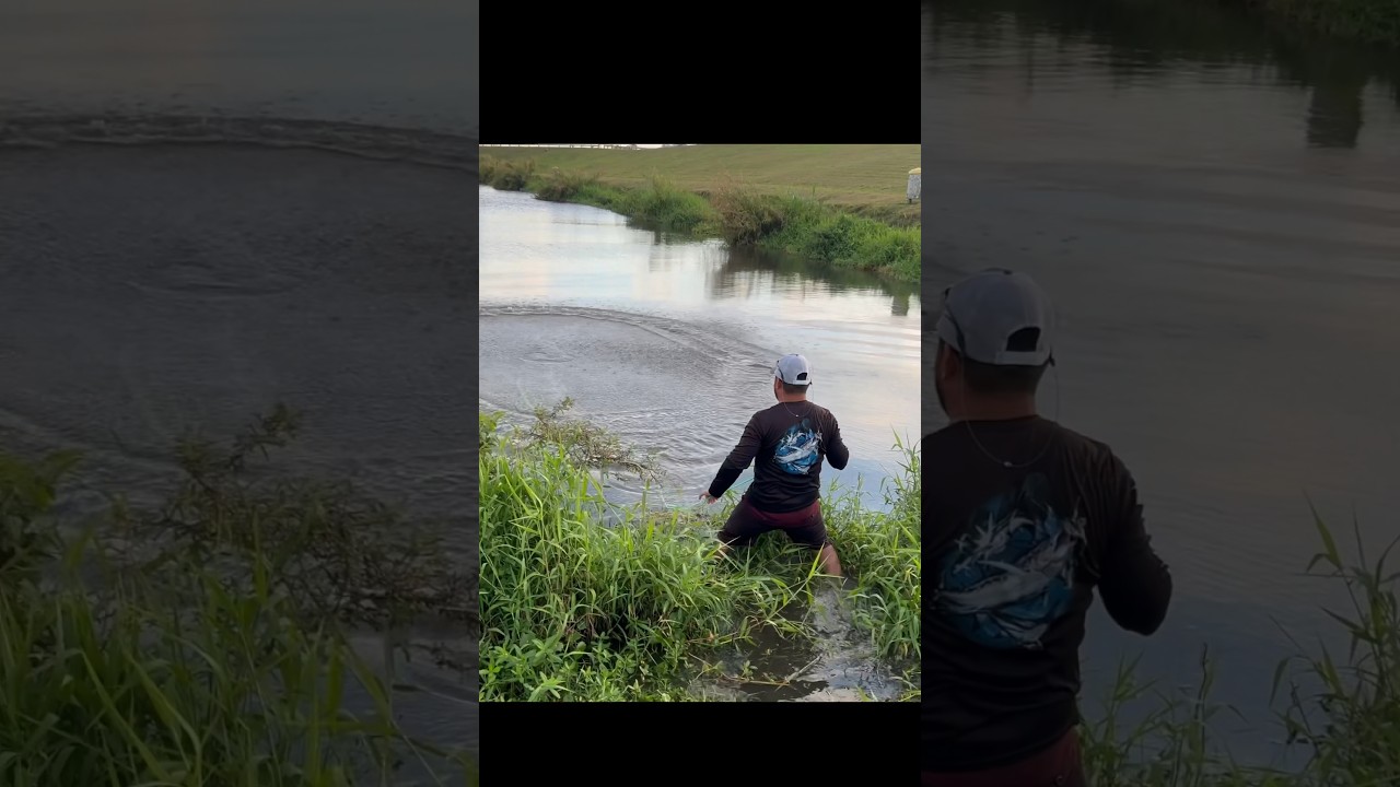 Tilapia gigante con Atarraya🐟🔥  