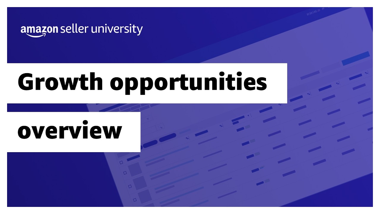 Growth Opportunities overview for selling on Amazon