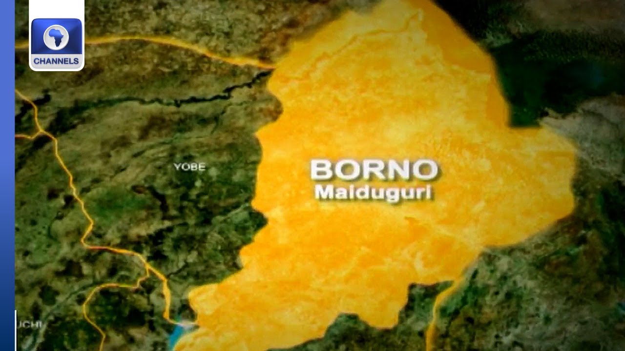 Military Neutralises 10 Terrorists In Borno Night Operation