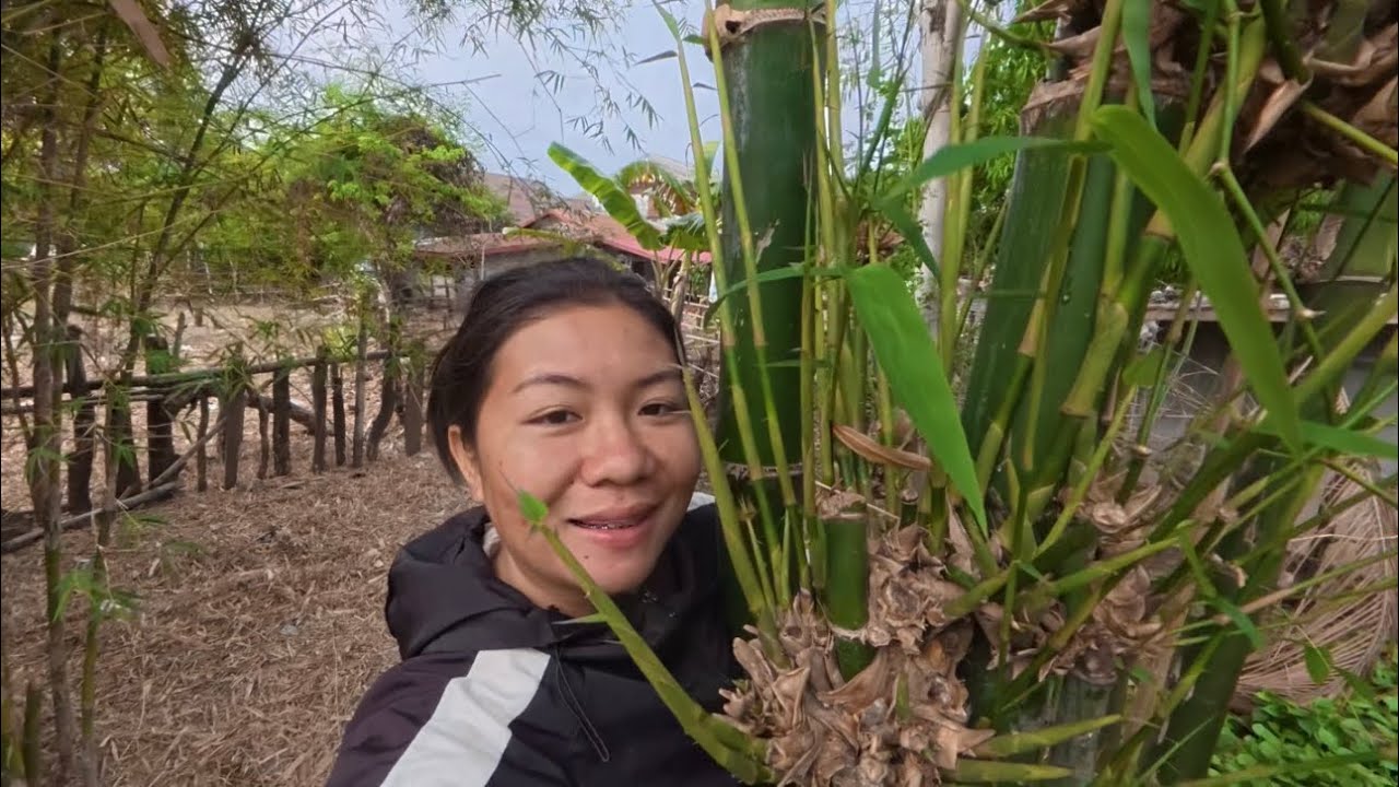 ไฟฟ้าดับตั้งแต่เมื่อวาน มาหัก แหนงหน่อไม้กับแม่