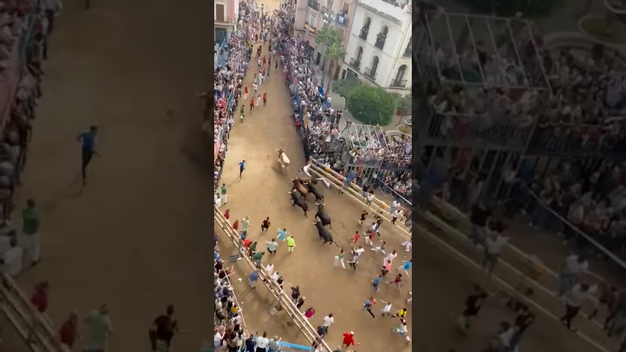 SUSTO con COGIDA en el ENCIERRO de Cebada Gago en Onda #cogida #susto #viral #susto #viralvideo