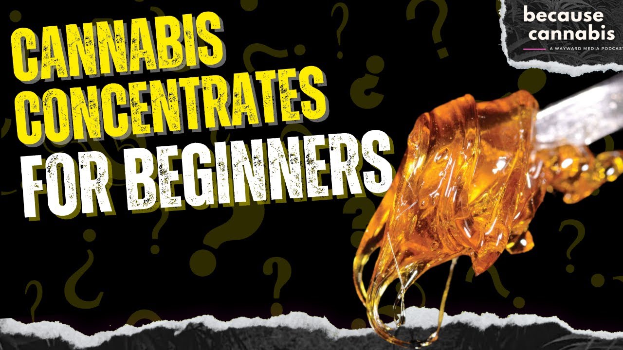 Simplifying Cannabis Concentrates: Live Resin | Distillate | CO2 | BHO | Diamonds | Shatter and more