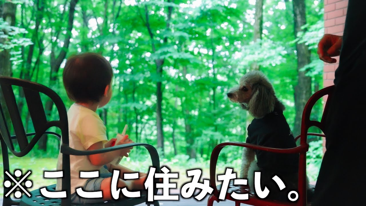 🐶【祝8才】愛犬と泊まれる森の中の貸別荘が最高すぎて住みたい、、、【那須TOWAピュアコテージ】