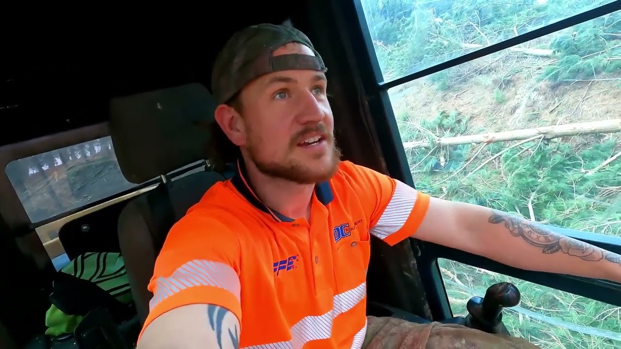 NZ LOGGING