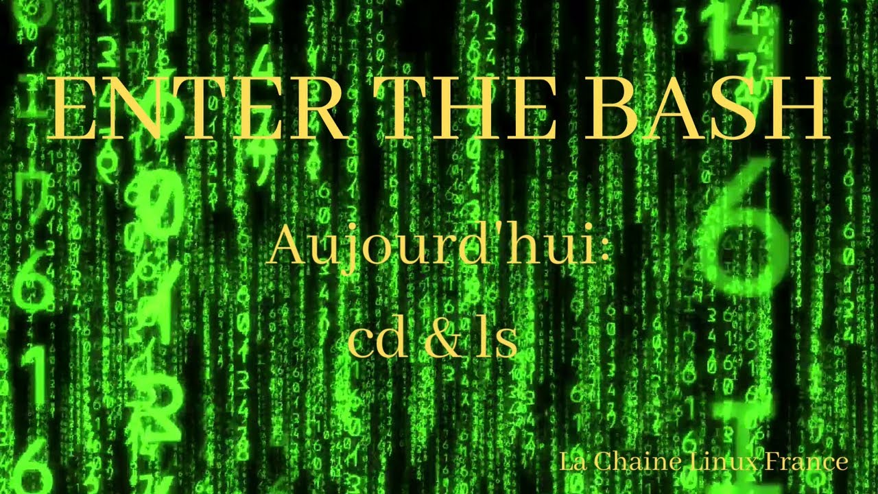 Enter the bash : Commandes cd & ls